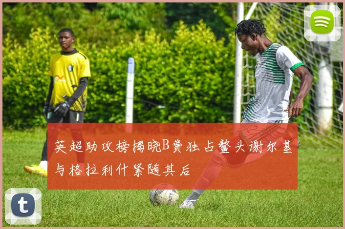 英超助攻榜揭晓B费独占鳌头谢尔基与格拉利什紧随其后